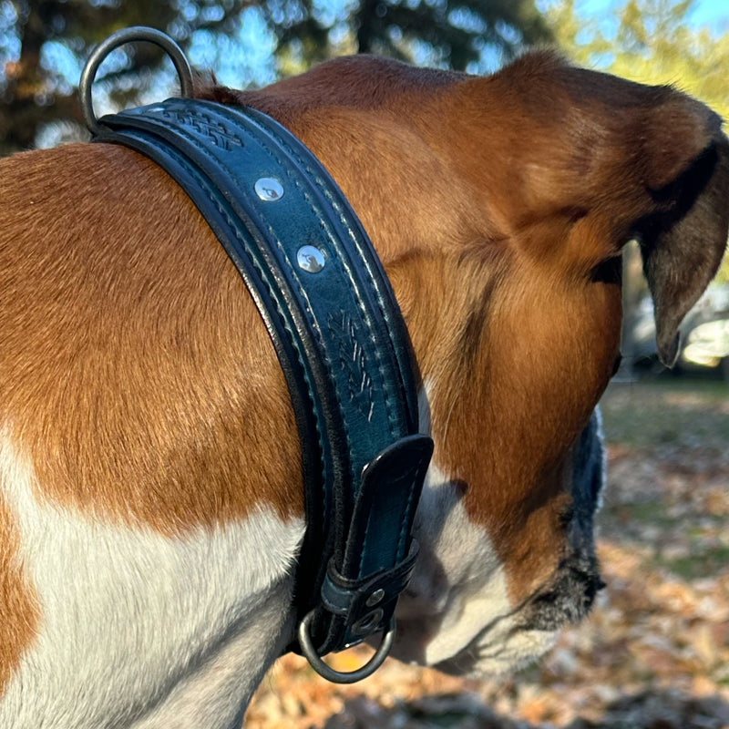 Custom Wide Blue & Black Leather Double Strap Dog Collar-Wide Leather Dog Collars-Rockstar Leatherworks™