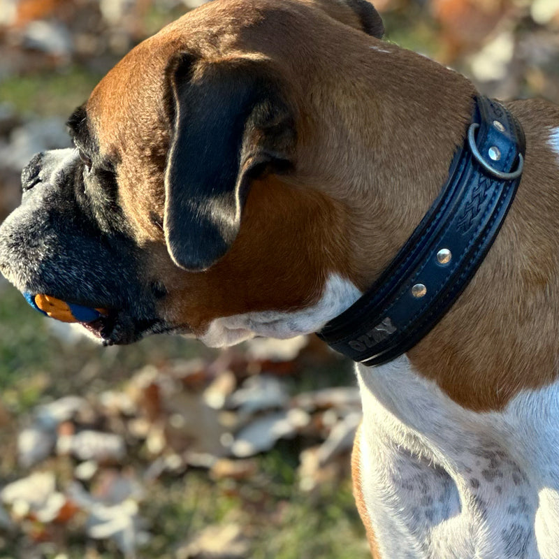 Custom Wide Blue & Black Leather Double Strap Dog Collar-Wide Leather Dog Collars-Rockstar Leatherworks™
