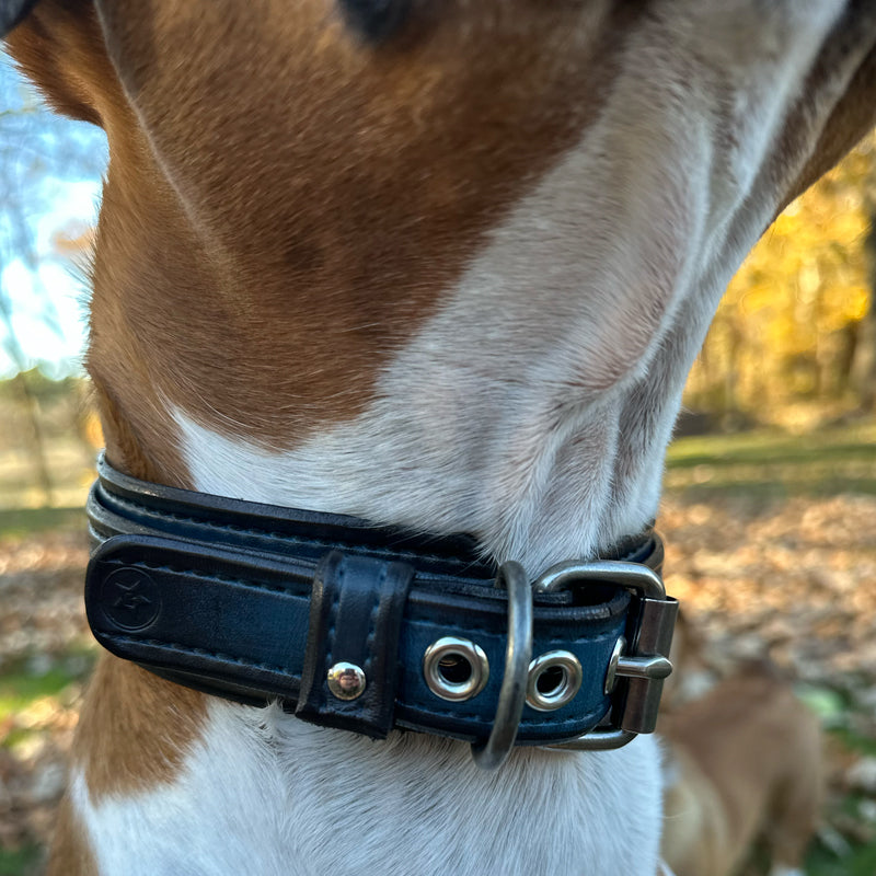 Custom Wide Blue & Black Leather Double Strap Dog Collar-Wide Leather Dog Collars-Rockstar Leatherworks™