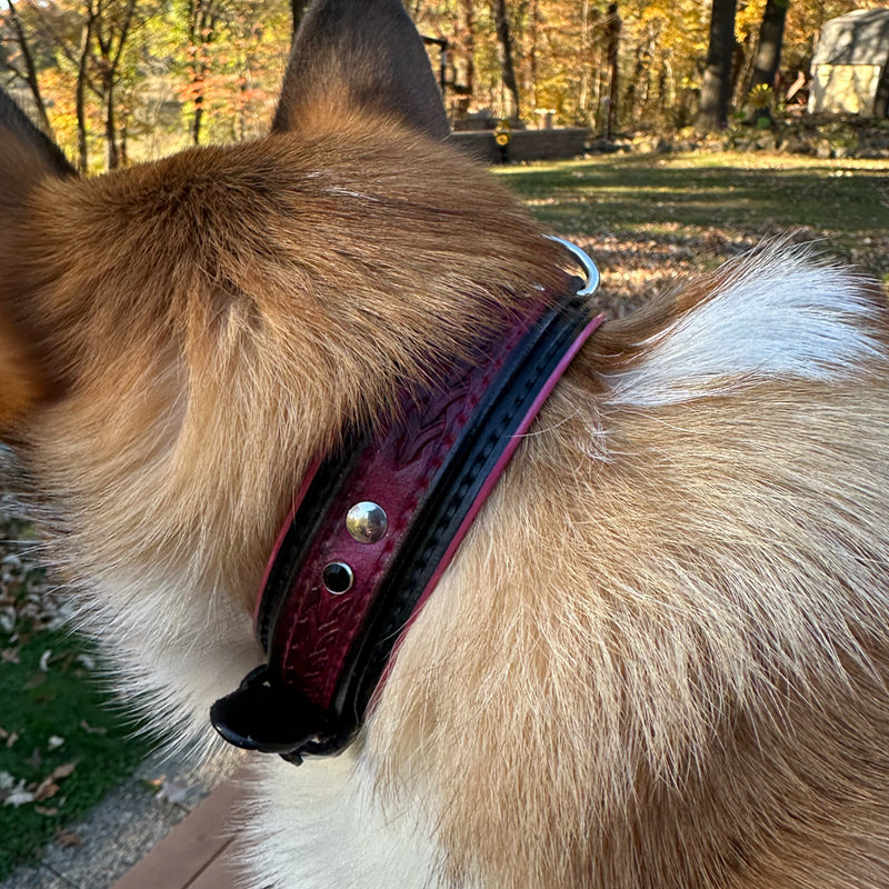 Custom Wide Pink & Black Leather Double Strap Dog Collar-Wide Leather Dog Collars-Rockstar Leatherworks™