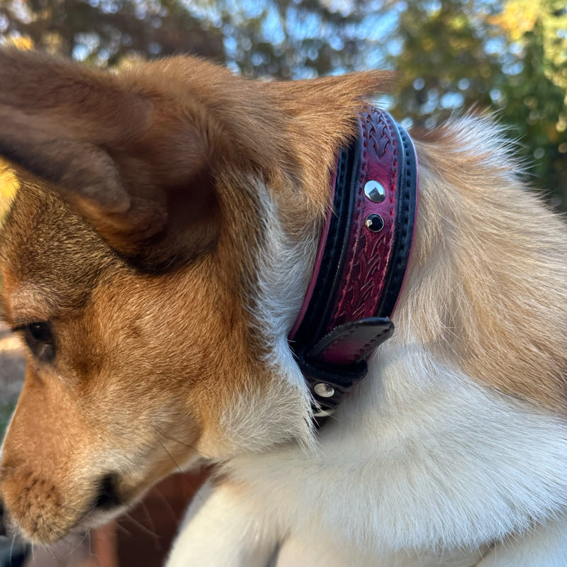 Custom Wide Pink & Black Leather Double Strap Dog Collar-Wide Leather Dog Collars-Rockstar Leatherworks™